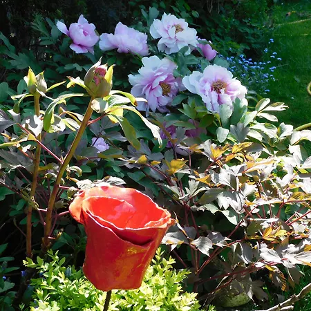 D'hondt Bed & Breakfast