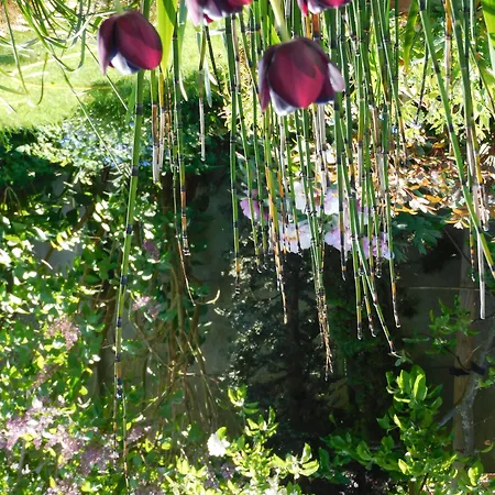 D'hondt B&B 블랑켄베르크