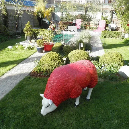 Bed & Breakfast D'hondt 3*
