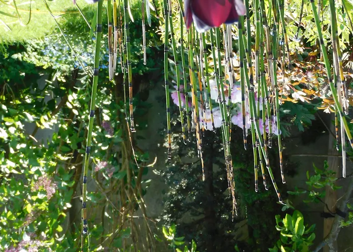 D'hondt Nocleg ze śniadaniem Blankenberge