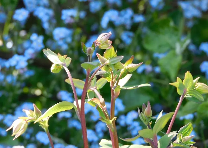 Nocleg ze śniadaniem D'hondt 4*